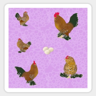 Belgian D'Uccle Pattern Purple Sticker